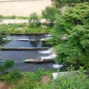 백담폭포횟집 이미지