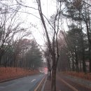 우면생태놀이터 이미지