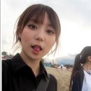 황금고양이 이미지