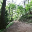 백운산자연휴양림 이미지