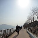철호농장 | 2월 셋쩨주말 일상(팀라이딩, 소친소, 고구려마라톤, 찍사)