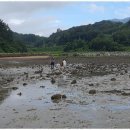 가족사랑체험펜션 이미지