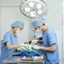 영통동물병원 이미지