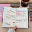 다연훠궈 | 가을이 갔다 왔다 다시 가버림
