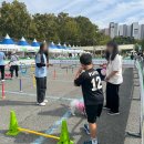 그린카사 이미지