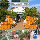 햇살정원 제주캠핑민박 | 제주도 서귀포 카페 추천 제주도 카페 놀거리