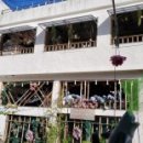 감천할머니 이미지