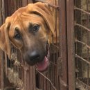 국민농장 이미지