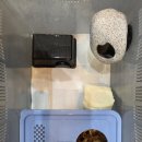 은신처 | NRC 기능성 습식은신처 찐 실사용 후기 !