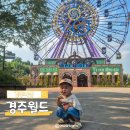 매직카월드 | 경주월드 자유이용권 아이와 함께 놀이기구 종류 관람차