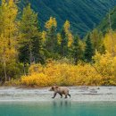 JOE'S PC ZONE 이미지