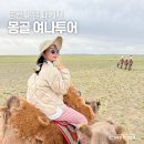 몽골 패키지 여행 여나투어 게르, 음식, 고비사막 코스 후기