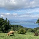 해용목장 이미지