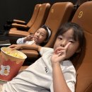 2026년 8월 영화관람 이미지