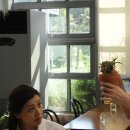 에덴플라워 이미지