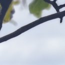 이종훈행정사사무소 이미지