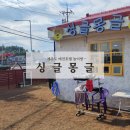 싱글몽글 이미지