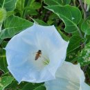 일원1-101 이미지