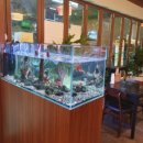 마곡역 3번 출구 뒤 이미지