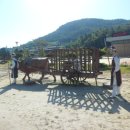 남해유배문학관 이미지