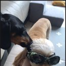 금동이PC 이미지