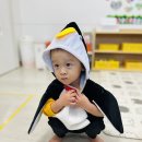 🐧해빛 - 뒤뚱뒤뚱 펭귄으로 변신!🐧 이미지