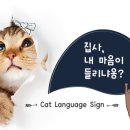 개냥이 세계 이미지