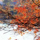 방아실마을회관 이미지