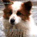 박재호농장 이미지