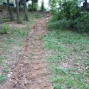 시암농장 이미지