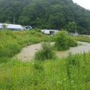 푸른알 영농조합법인 이미지