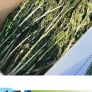 광림농원 이미지