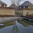 태양여인숙 이미지