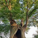 문화예술의 거리 이미지