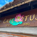 <로터스 랜드(Lotus Land)> | 우붓 카페 The Cafe Loutus 사원 연못뷰 왕궁근처 가볼만한 곳