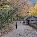 풍진여관 네이버블로그