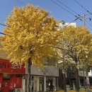 제1기 모유수유교실 | 창원 마산 오케타니 가슴 마사지, 젖몸살, 유두혼동, 모유수유 컨설팅, 가격, 내돈내산 솔직후기