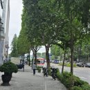 투썸플레이스 서초역점