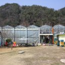 원주식물원 이미지
