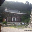 용흥사진입로 Daum카페