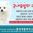 네발하우스 네이버블로그
