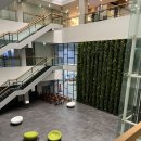 에프스포렉스 | 내돈내산 5년 단골 대전헬스장 에프스포렉스 헬스장 솔직 후기