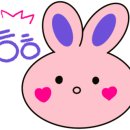 마켓통통 이미지