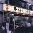 제주토종똥돼지 이미지