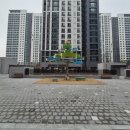 Metal-당산나무 이미지