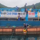 해수원 엔디엔뉴스