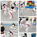 행복한 나라찬 태권도장 이미지