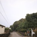 신흥2리마을 이미지