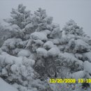 雪 國 (서울100년만의 폭설) 이미지