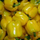 가락농장 이미지